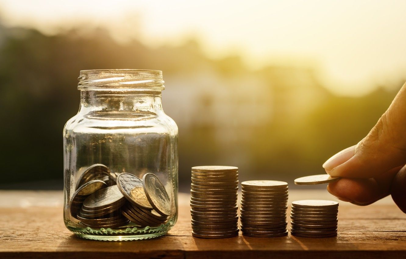 Savings Icon